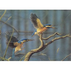 WATERMARK GREETING CARD KINGFISHERS IN FLIGHT